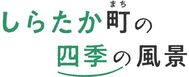 しらたか町（まち）の四季の風景